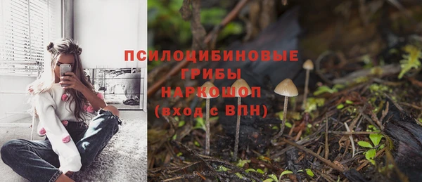 не бодяженный Алзамай