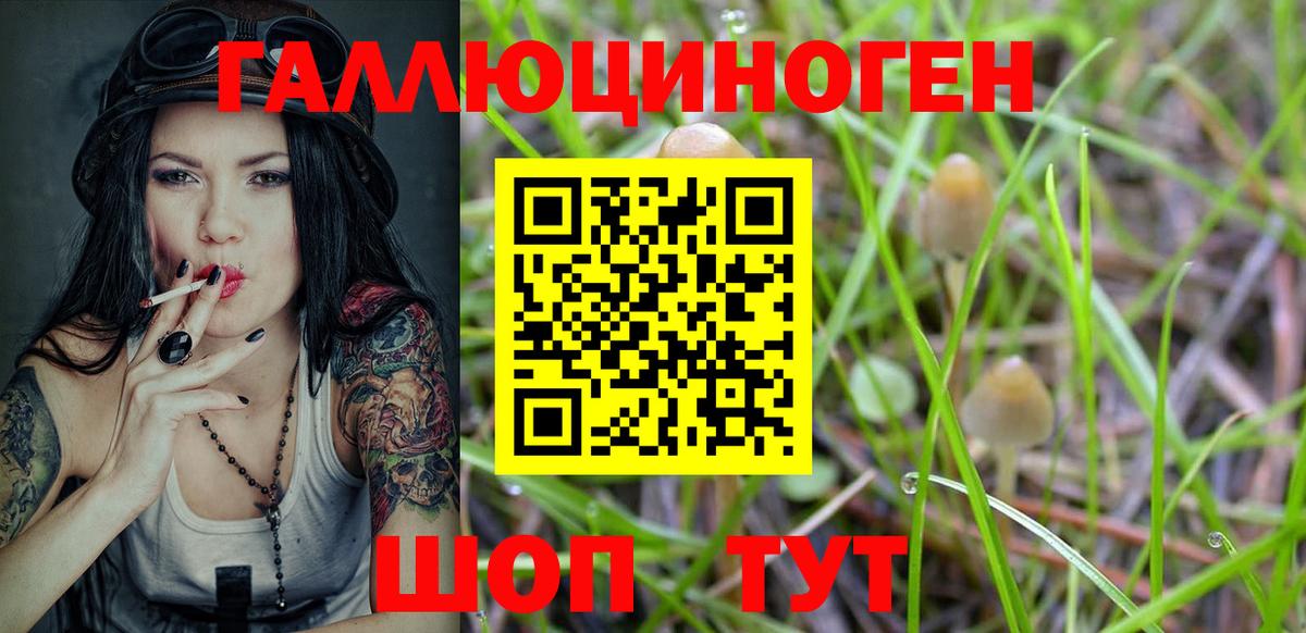 Дмитров  Псилоцибиновые грибы Magic Shrooms  Галлюциногенные грибы Cubensis  Вход с VPN 